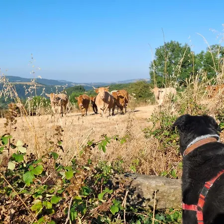 Apartman Saisonnee - De Charme En Aveyron *